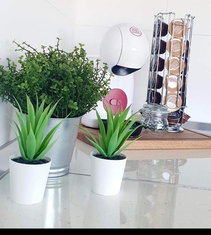 Sanlúcar de Barrameda Apartamento Plaza Calzada 3 מראה חיצוני תמונה